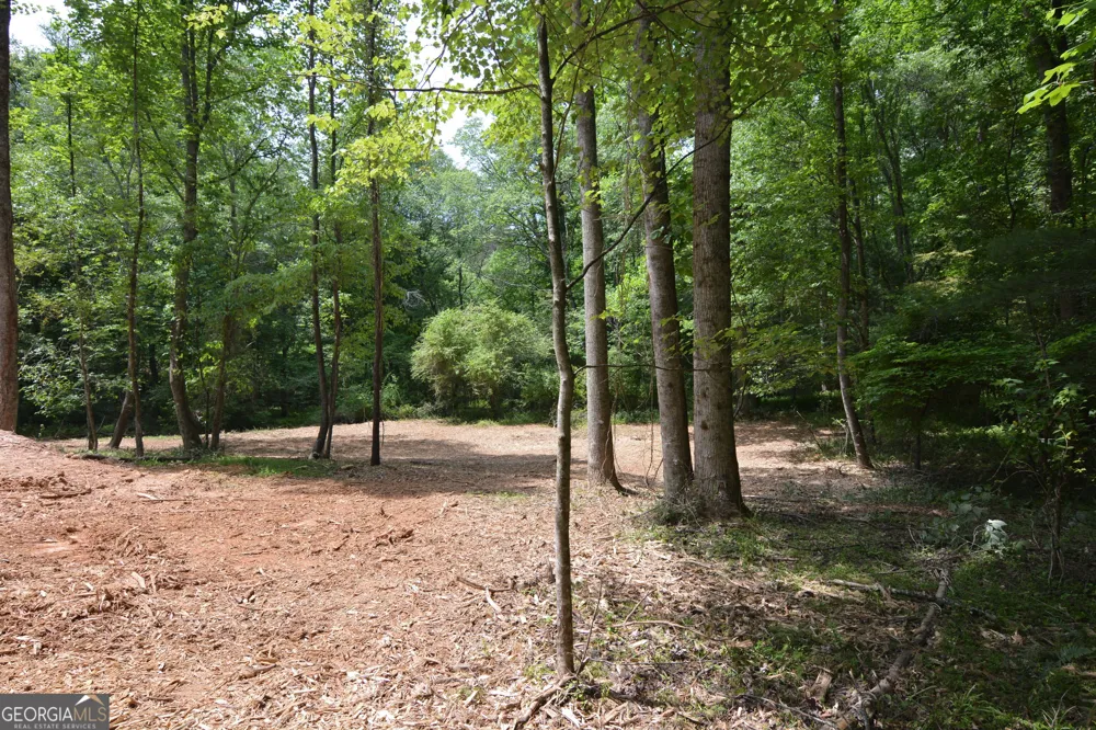 LOT 1 Murphy Hwy (Spur 60) Mineral Bluff, GA 30559