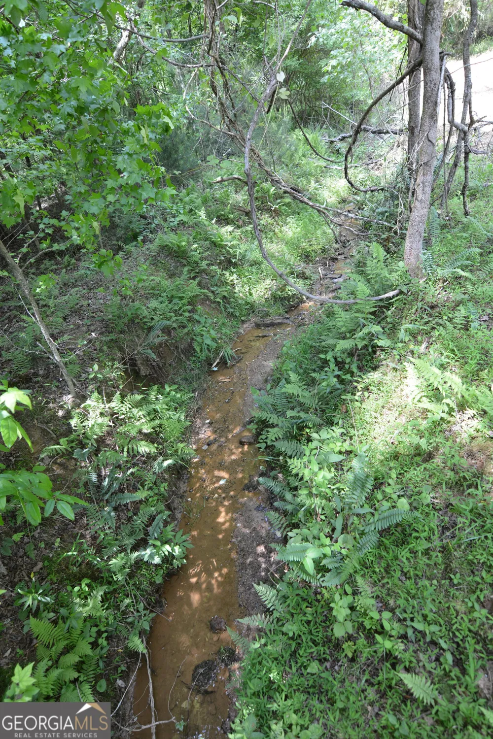 LOT 1 Murphy Hwy (Spur 60) Mineral Bluff, GA 30559