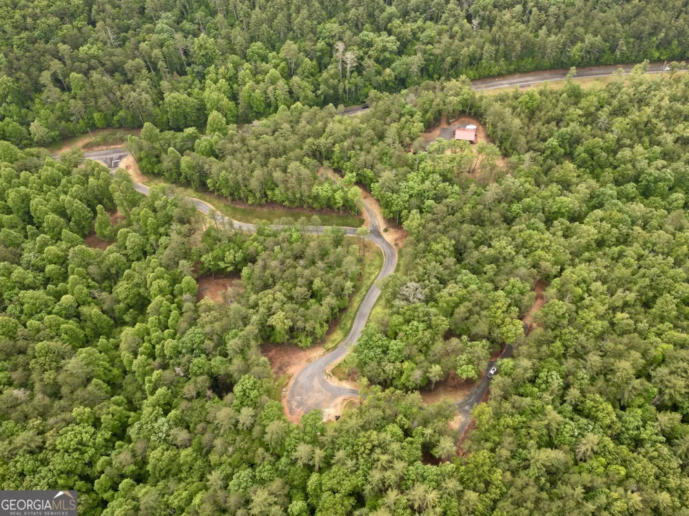 LOT 1 Murphy Hwy (Spur 60) Mineral Bluff, GA 30559