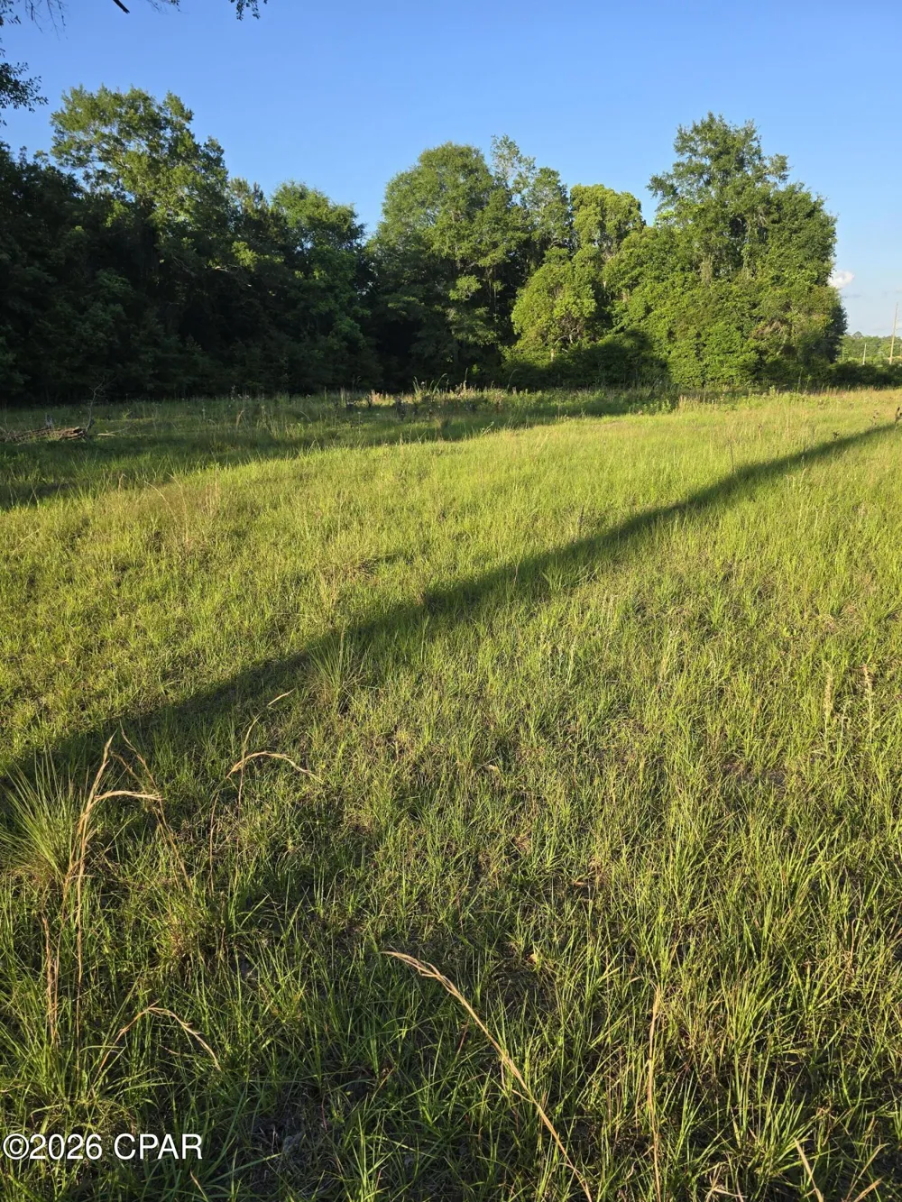 104 Treadwell Road Bonifay, FL 32425