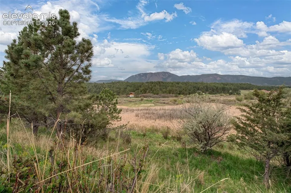 367 Raspberry Lane Monument, CO 80132