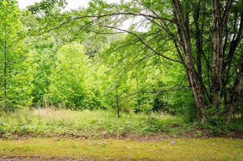 Lot 29 Hidden Forest Lane