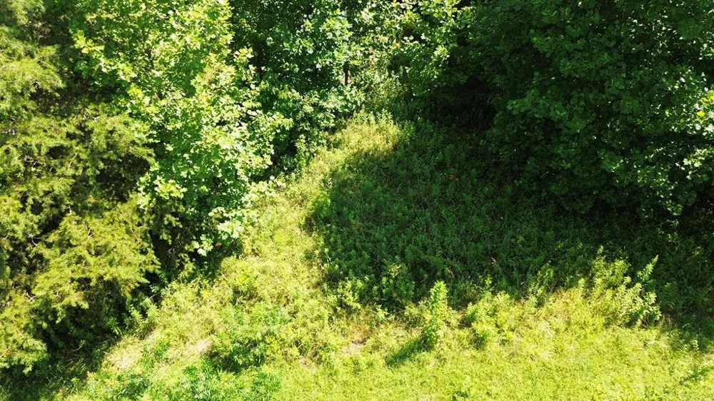 Lot 29 Hidden Forest Lane Hayesville, NC 28904