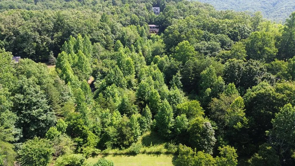 Lot 29 Hidden Forest Lane Hayesville, NC 28904