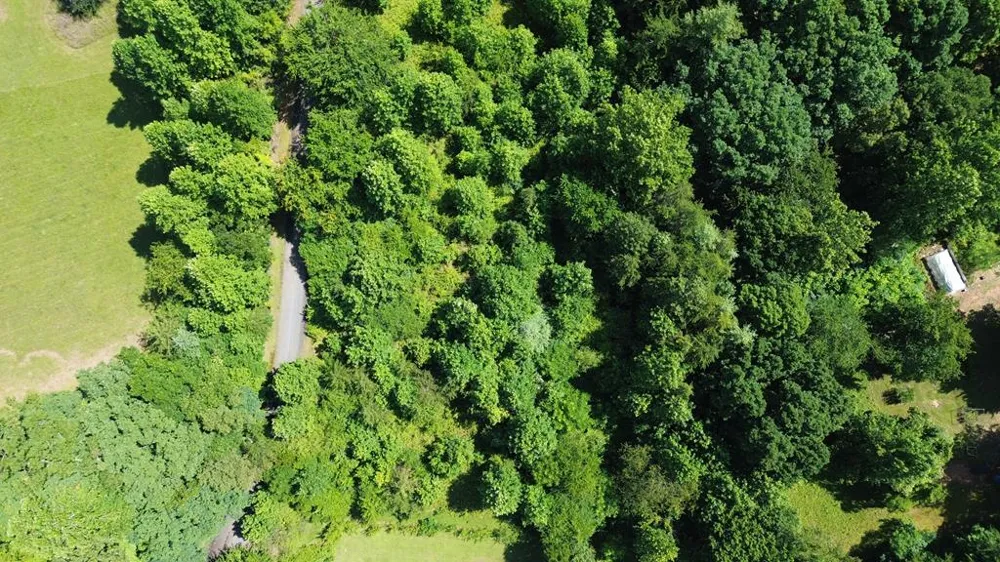 Lot 29 Hidden Forest Lane Hayesville, NC 28904
