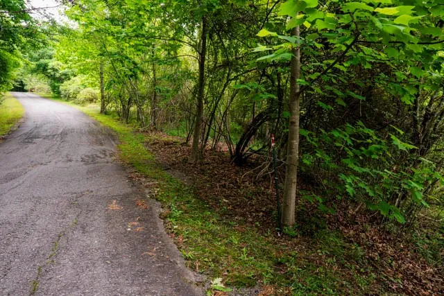 Lot 29 Hidden Forest Lane Hayesville, NC 28904