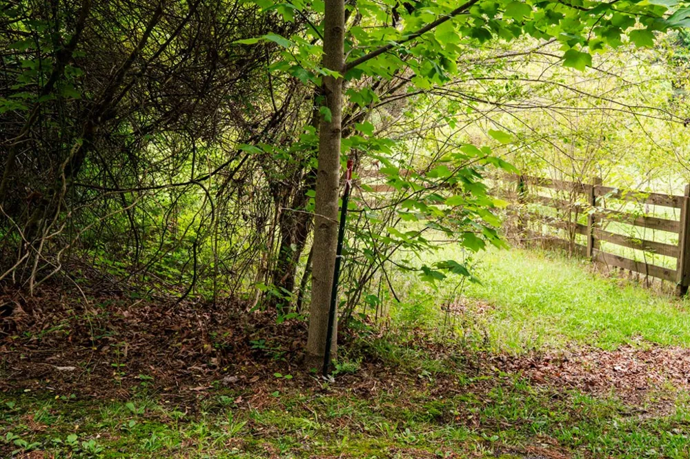Lot 29 Hidden Forest Lane Hayesville, NC 28904