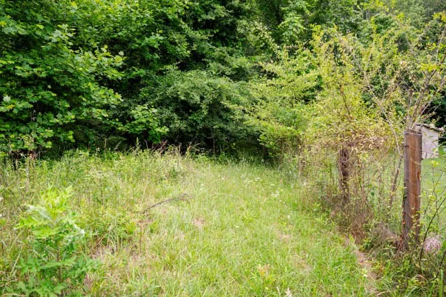 Lot 29 Hidden Forest Lane Hayesville, NC 28904