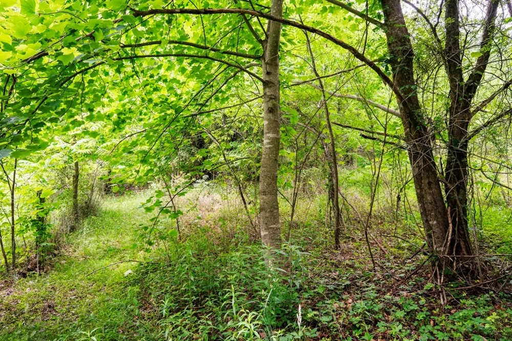 Lot 29 Hidden Forest Lane Hayesville, NC 28904
