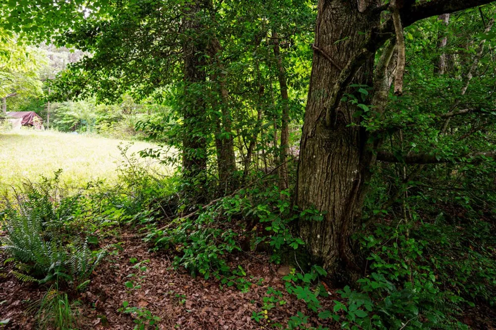 Lot 29 Hidden Forest Lane Hayesville, NC 28904