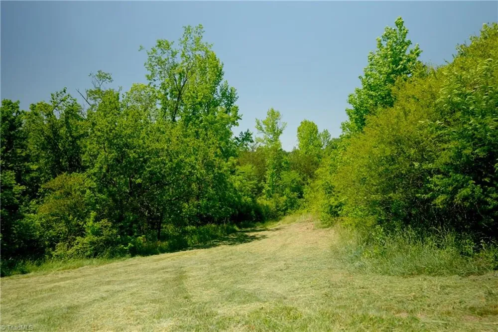 3 Morrison Road Morganton, NC 28655