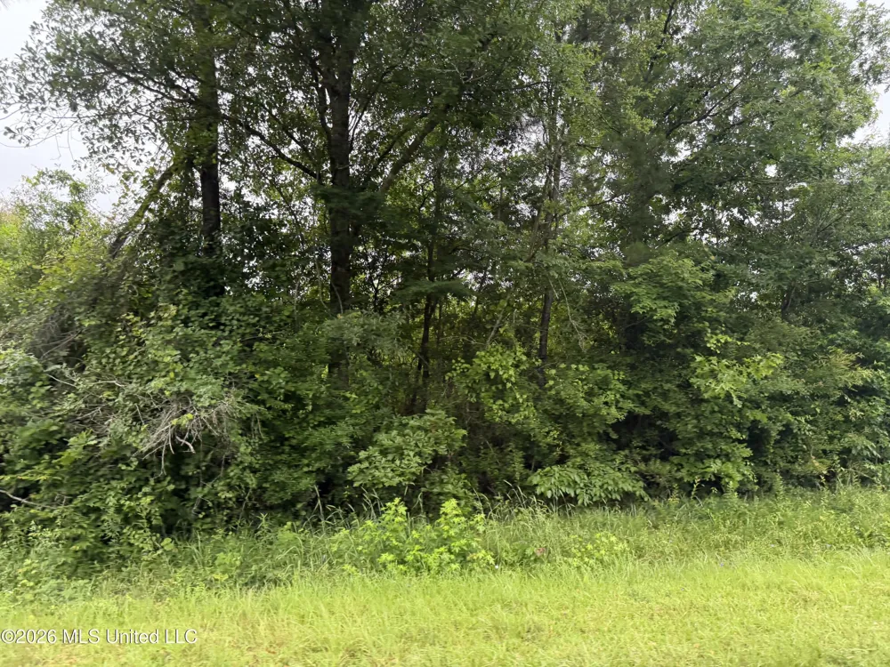 River Road Summit, MS 39666