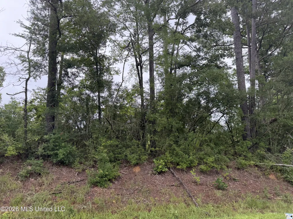 River Road Summit, MS 39666