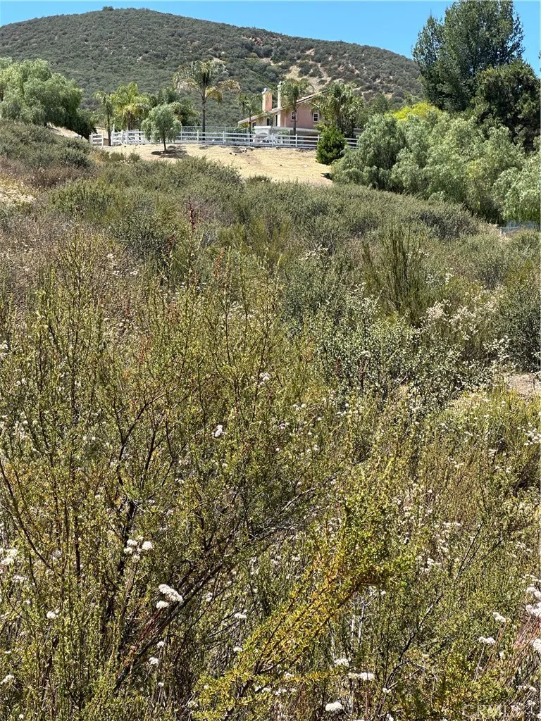 1 Carol Menifee, CA 92584