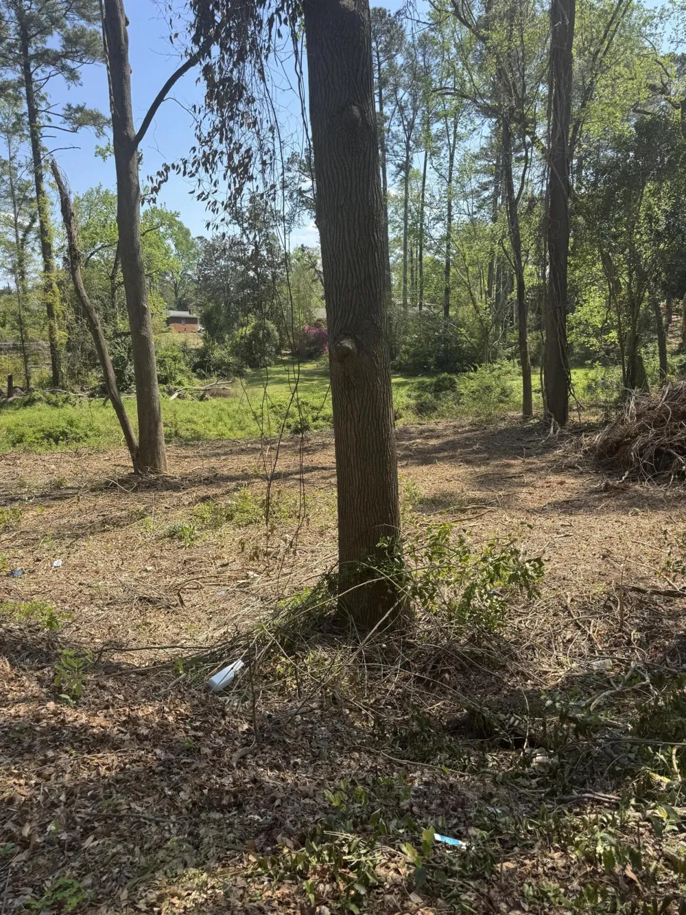 3044 Wheeler Road Augusta, GA 30909