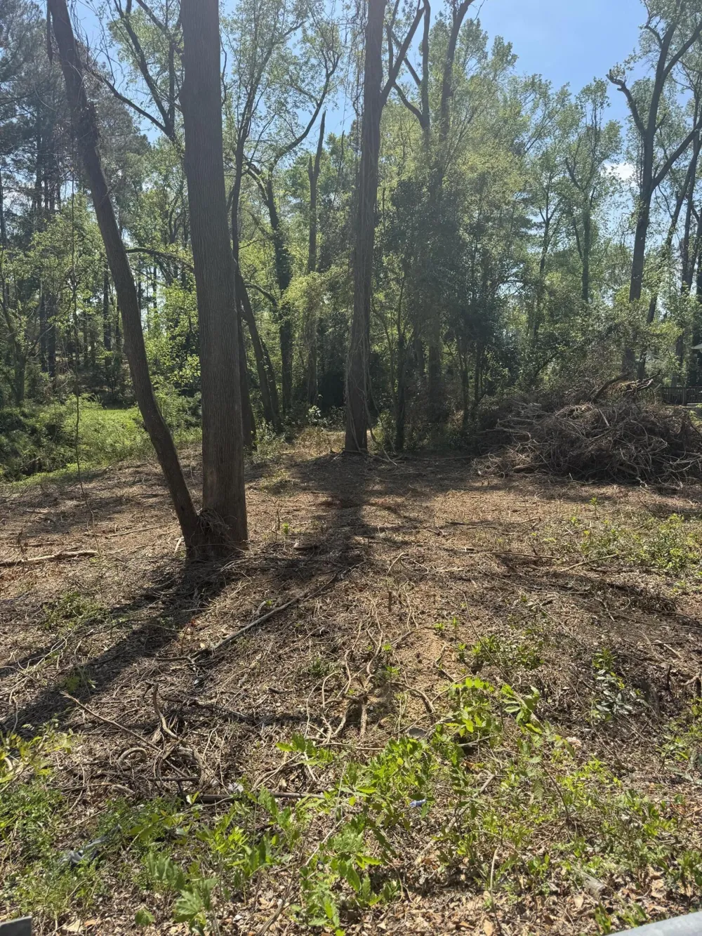 3044 Wheeler Road Augusta, GA 30909