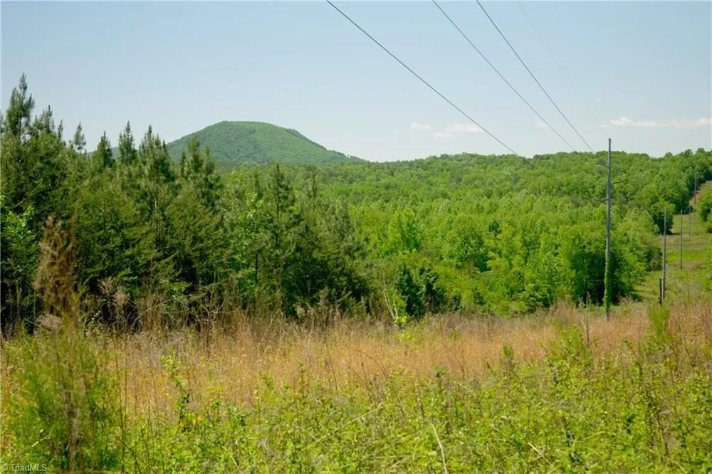 4 Morrison Road Morganton, NC 28655
