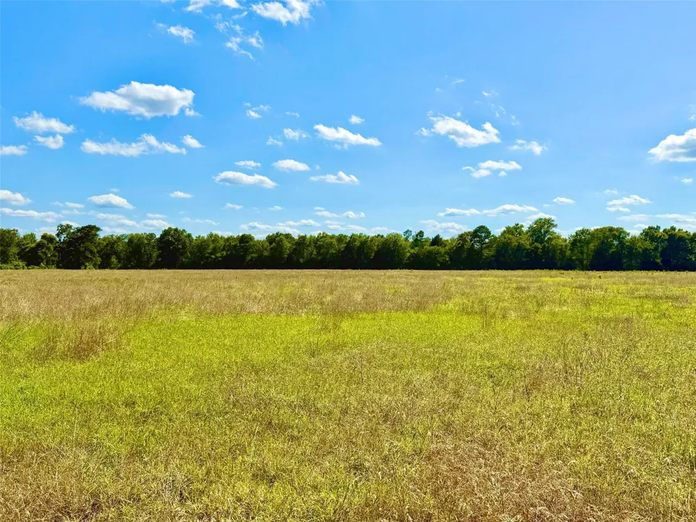 Cooper Settlement Road Crockett, TX 75835
