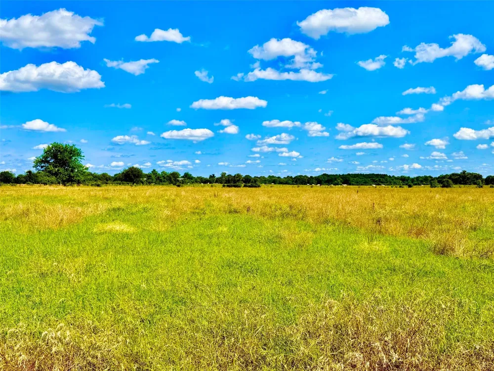 Cooper Settlement Road Crockett, TX 75835