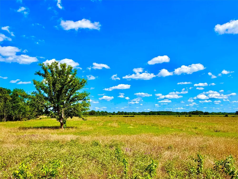 Cooper Settlement Road Crockett, TX 75835