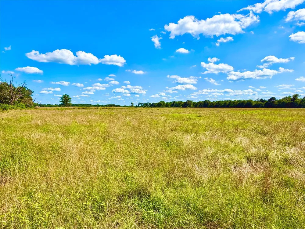 Cooper Settlement Road Crockett, TX 75835