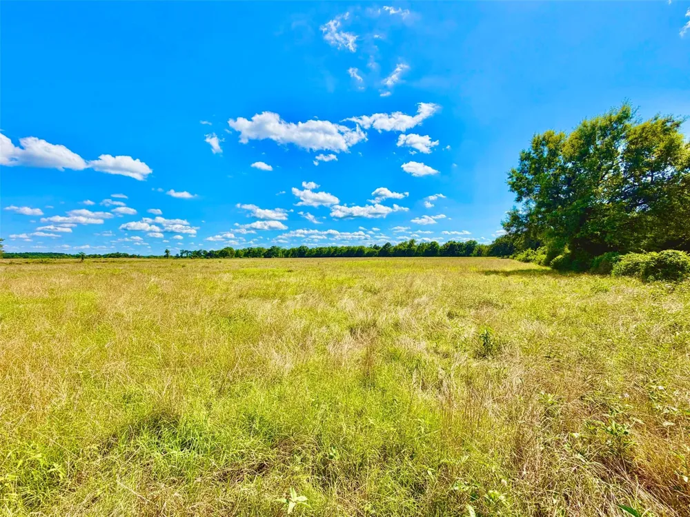 Cooper Settlement Road Crockett, TX 75835