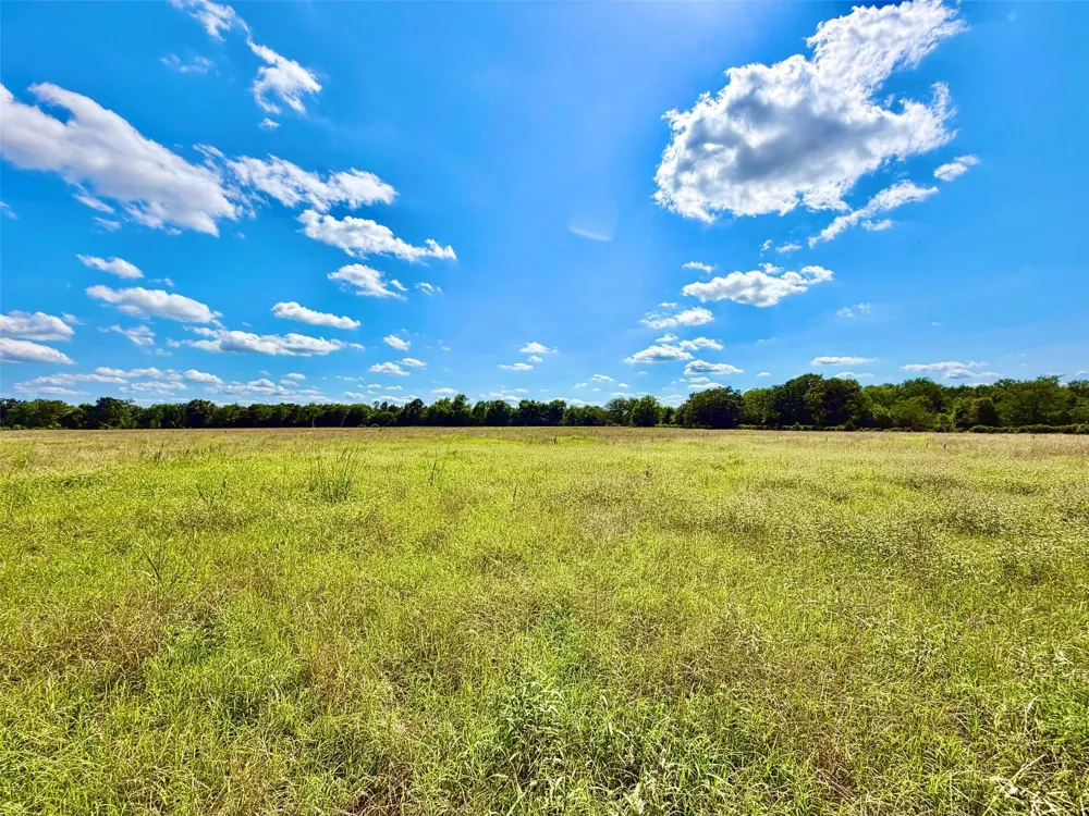 Cooper Settlement Road Crockett, TX 75835