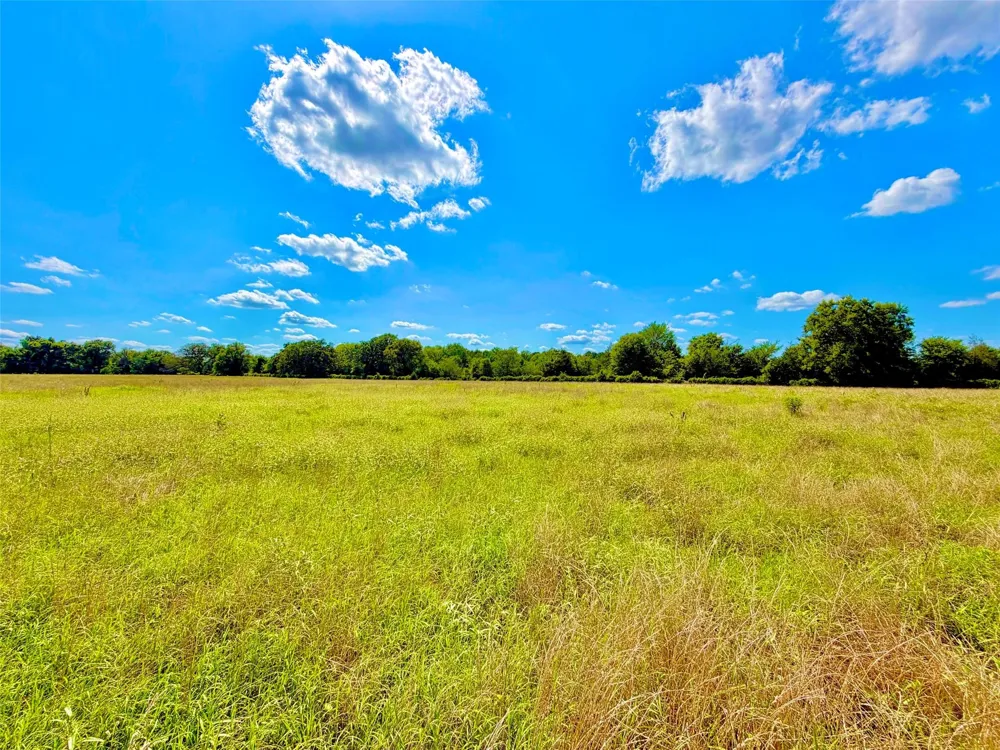 Cooper Settlement Road Crockett, TX 75835
