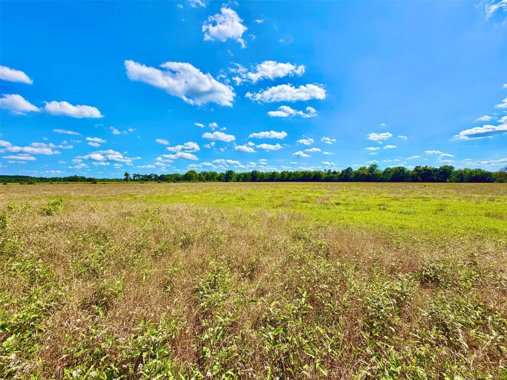 Cooper Settlement Road Crockett, TX 75835