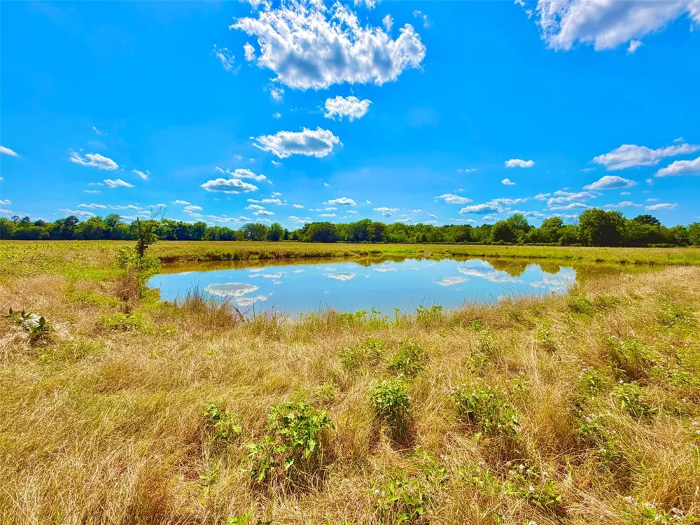 Cooper Settlement Road Crockett, TX 75835