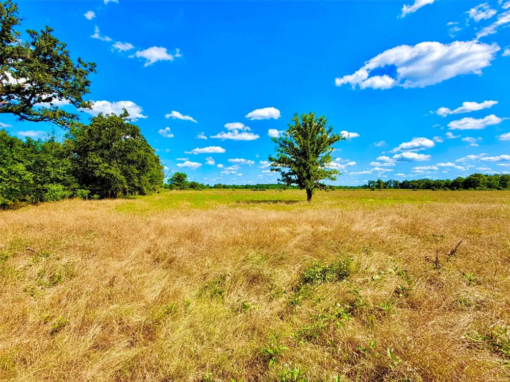 Cooper Settlement Road Crockett, TX 75835