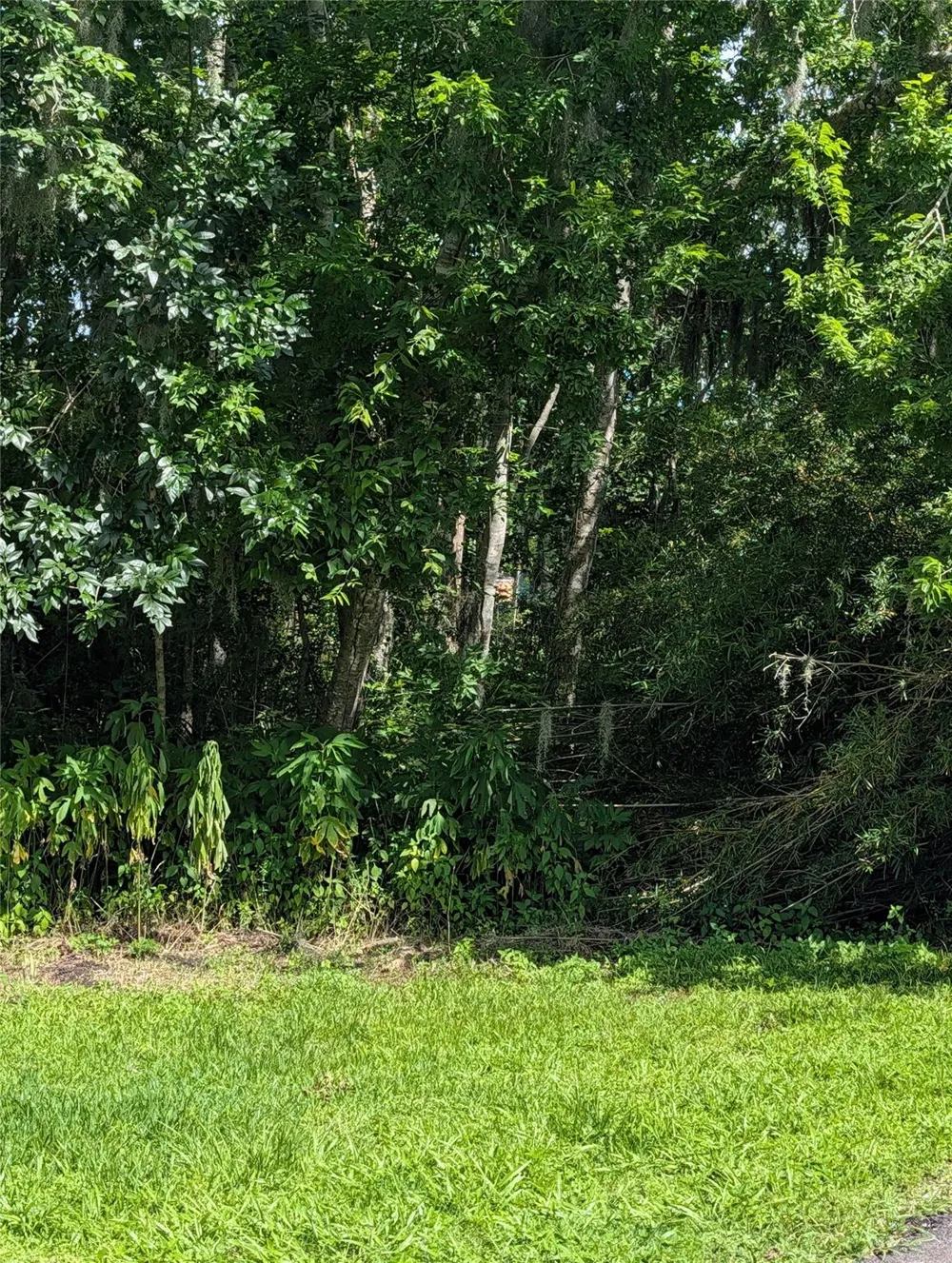 Bay Court Brazoria, TX 77422
