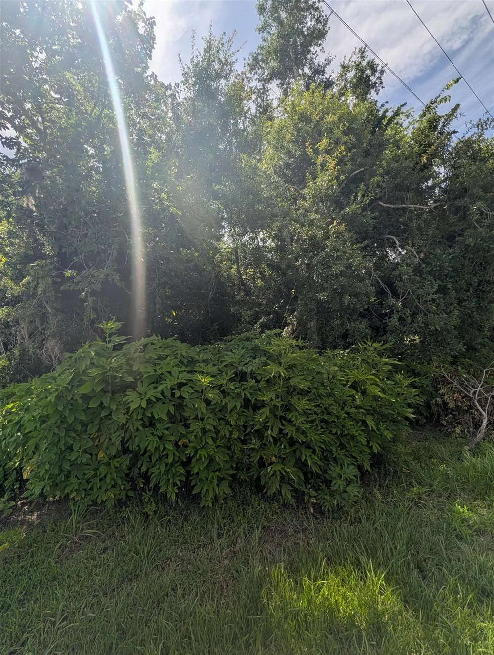 Bay Court Brazoria, TX 77422