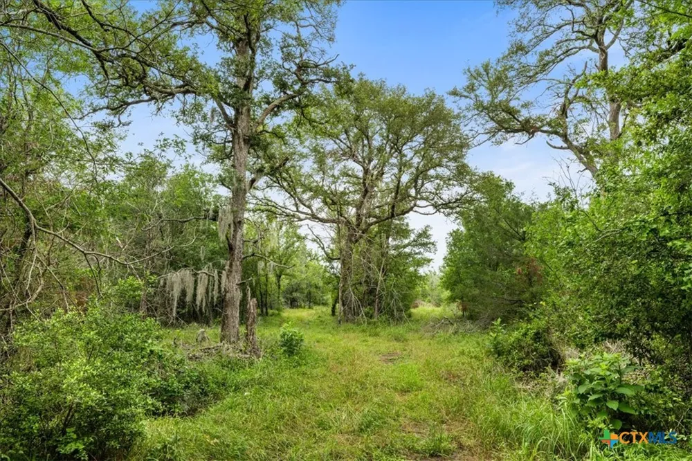 288 Charcoal Road Waelder, TX 78959