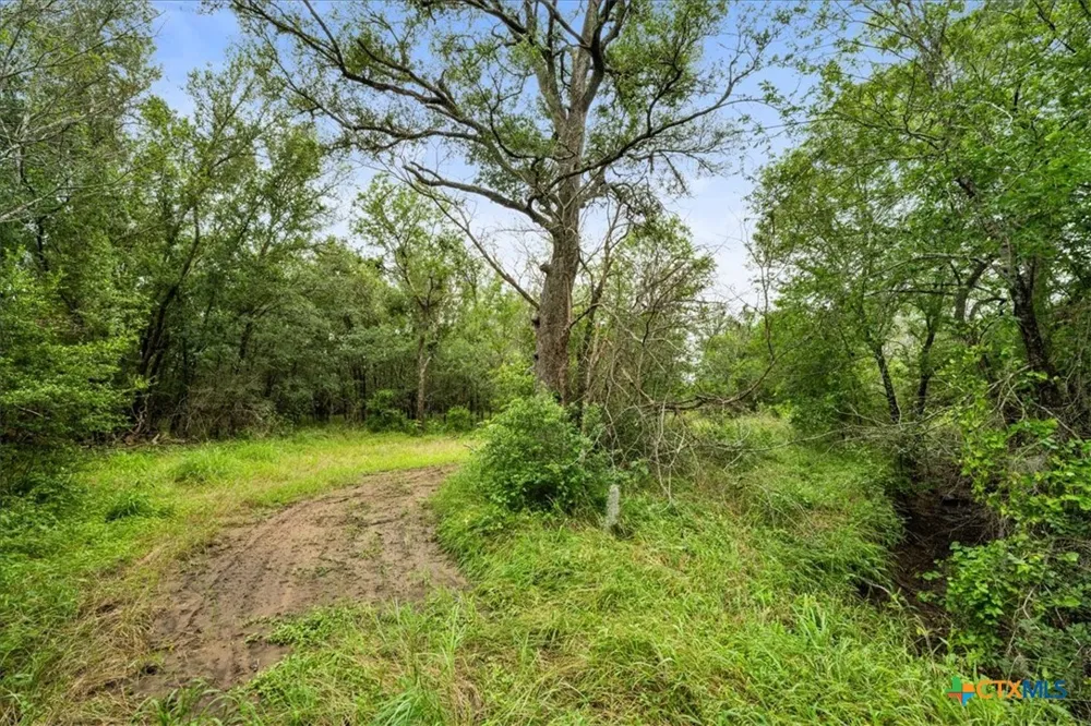 288 Charcoal Road Waelder, TX 78959