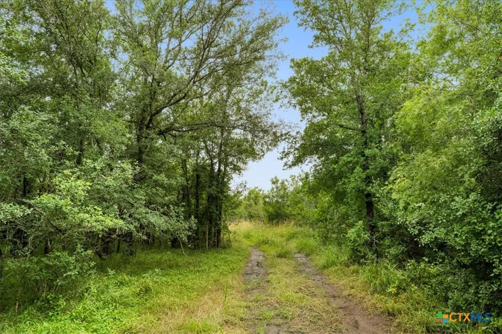 288 Charcoal Road Waelder, TX 78959