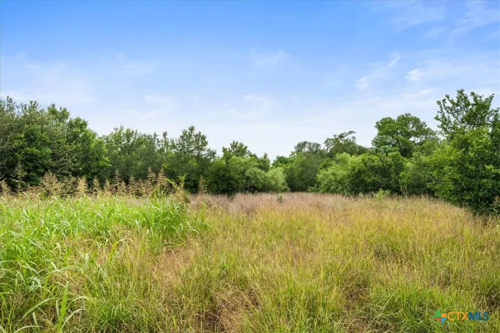 288 Charcoal Road Waelder, TX 78959