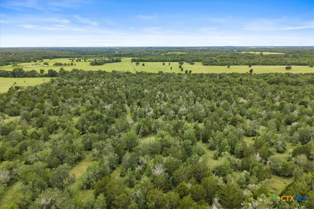 288 Charcoal Road Waelder, TX 78959