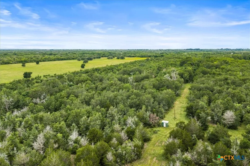 288 Charcoal Road Waelder, TX 78959