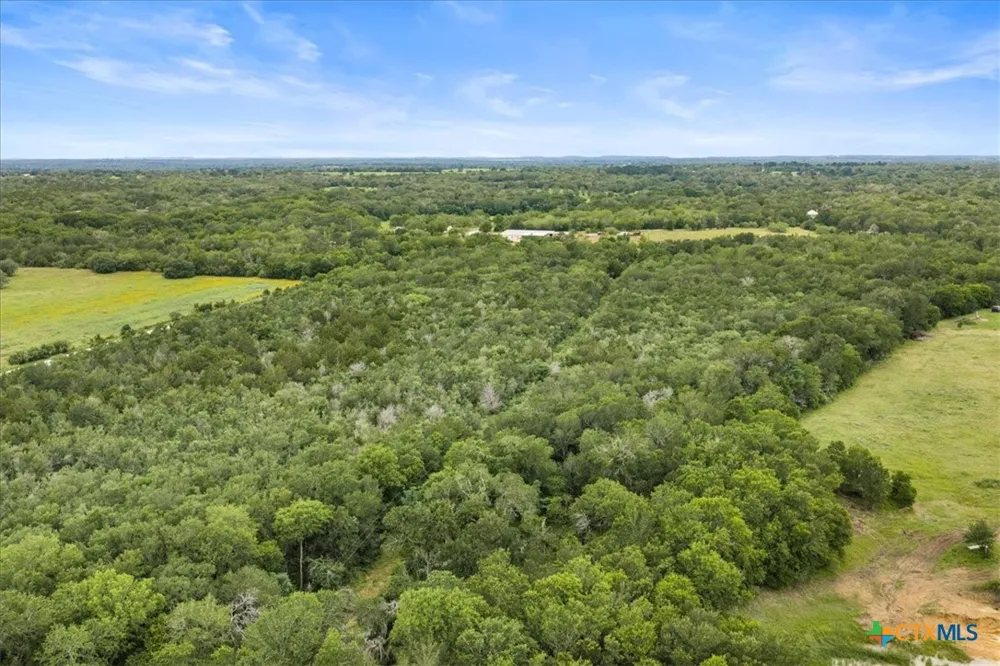 288 Charcoal Road Waelder, TX 78959