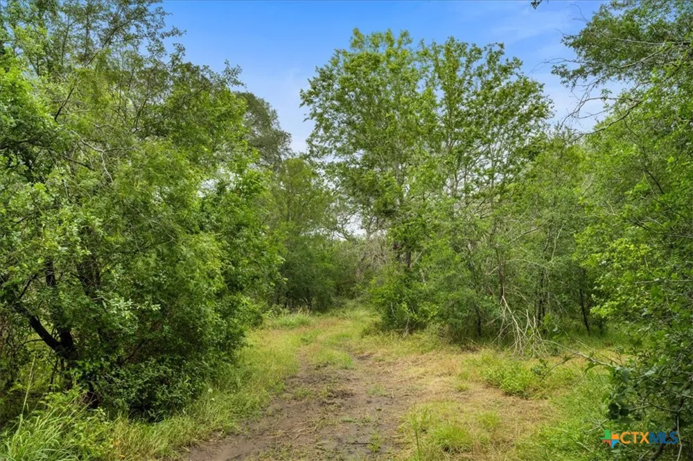 288 Charcoal Road Waelder, TX 78959