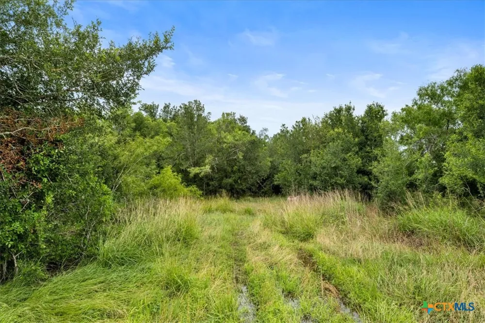 288 Charcoal Road Waelder, TX 78959