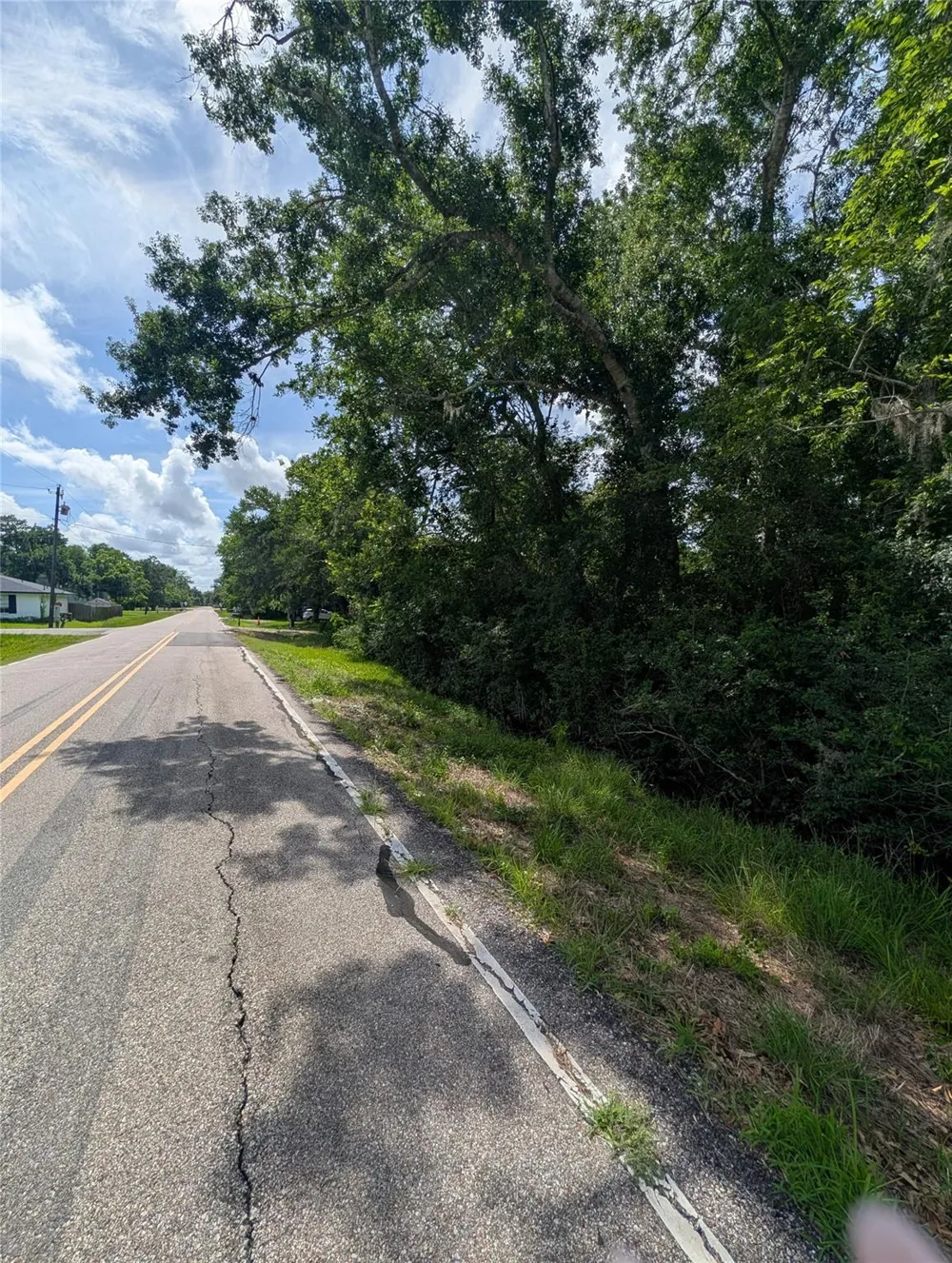 Oak Forest Street Brazoria, TX 77422