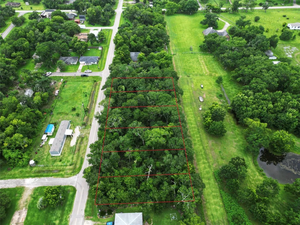 Oak Forest Street Brazoria, TX 77422
