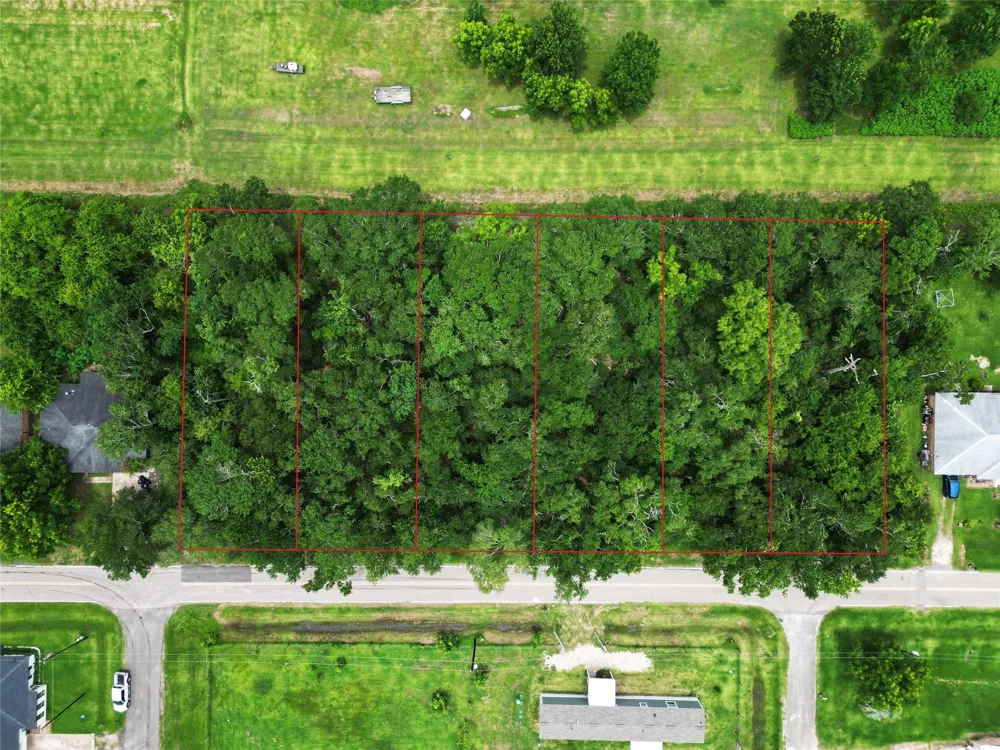 Oak Forest Street Brazoria, TX 77422