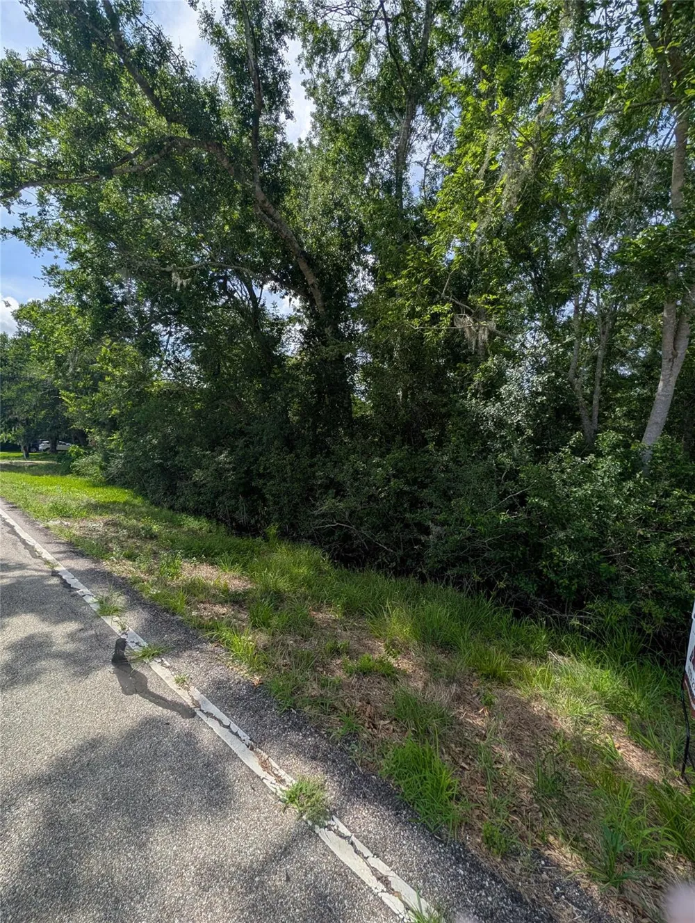 Oak Forest Street Brazoria, TX 77422