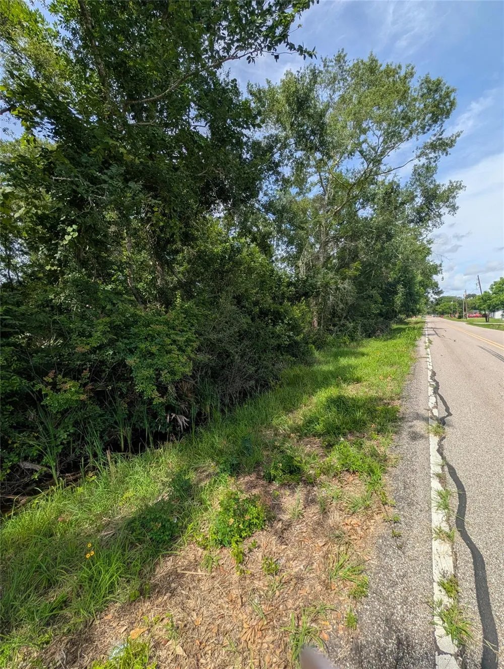 Oak Forest Street Brazoria, TX 77422