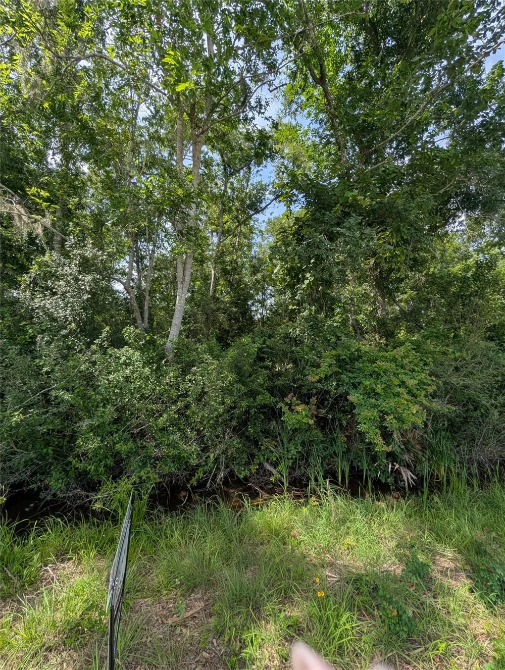 Oak Forest Street Brazoria, TX 77422
