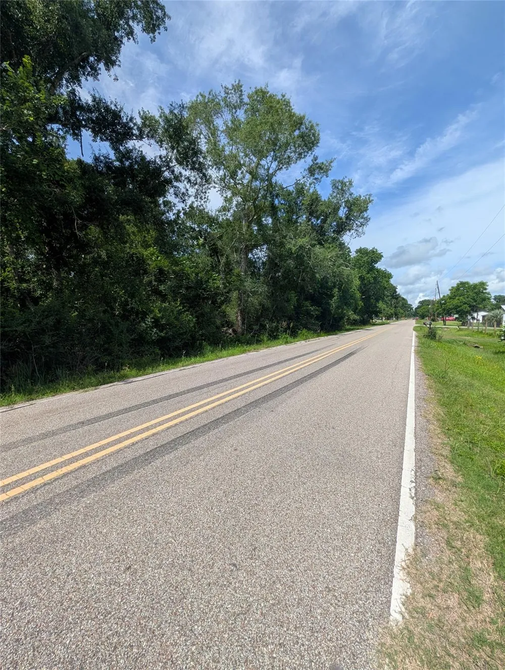Oak Forest Street Brazoria, TX 77422