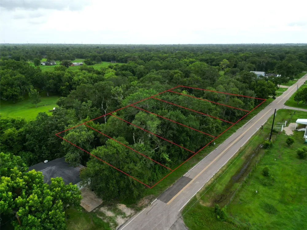 Oak Forest Street Brazoria, TX 77422